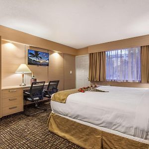 Deluxe King Room Kitchenette